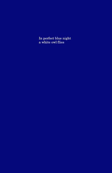 In perfect blue night a white owl flies