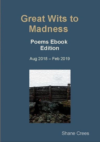 Great Wits to Madness - Ebook Edition