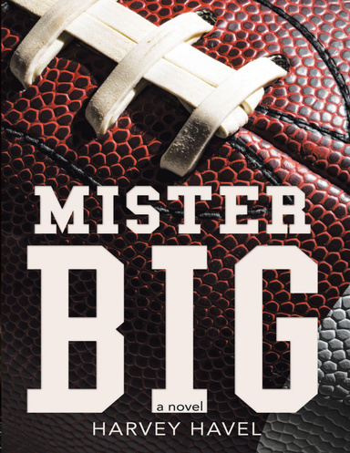 Mister Big: A Novel