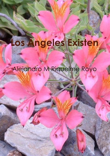 Los Angeles Existen