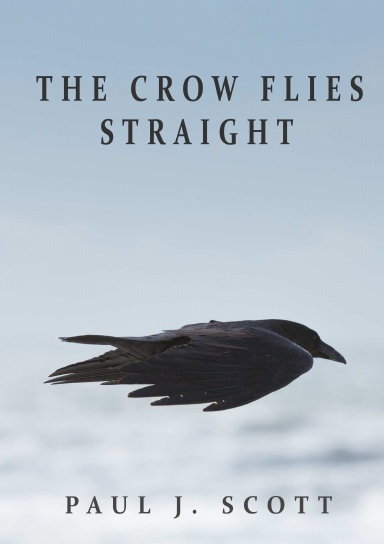 The Crow Flies Straight