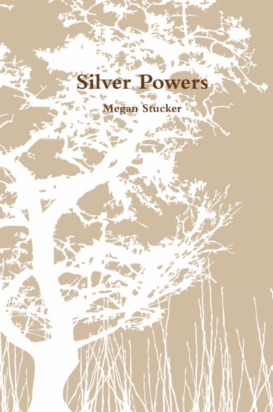 Silver Powers