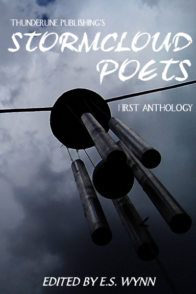 Stormcloud Poets #1