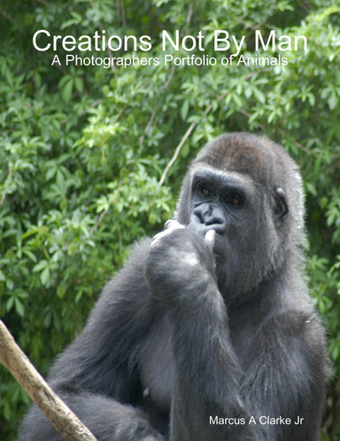 Creations - Not by Man: A Photographers Portfolio of Animals