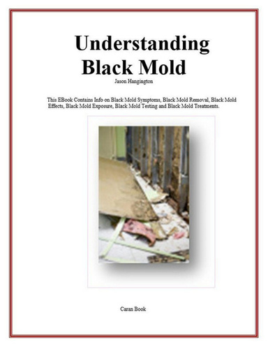 Understanding Black Mold
