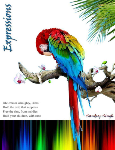Expressions . . . experience your life saga