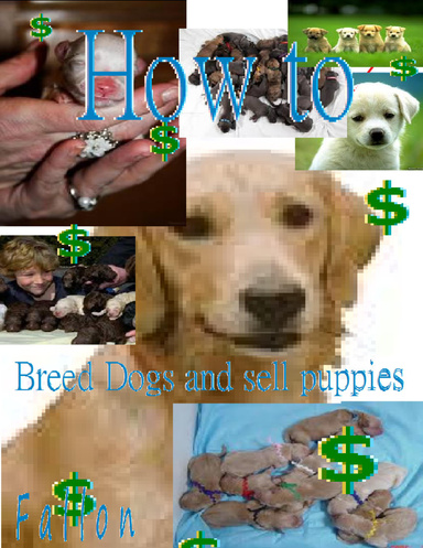 How to breed dogs and sell puppies