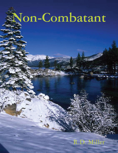 Non-Combatant