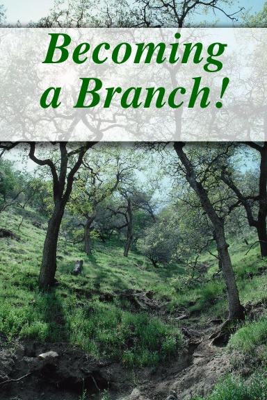Becoming a Branch!