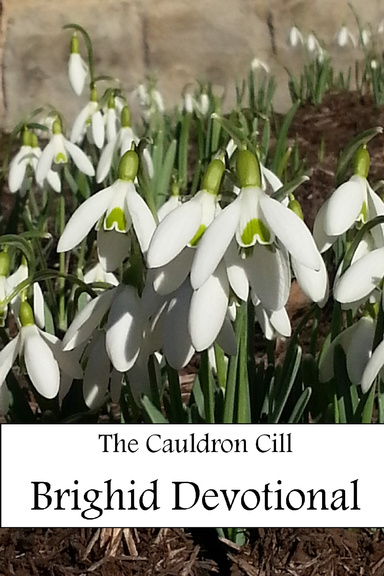 The Cauldron Cill Brighid Devotional