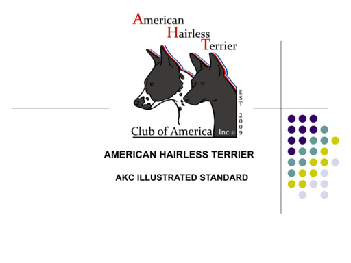 American Hairless Terrier  Breed Standard -AKC