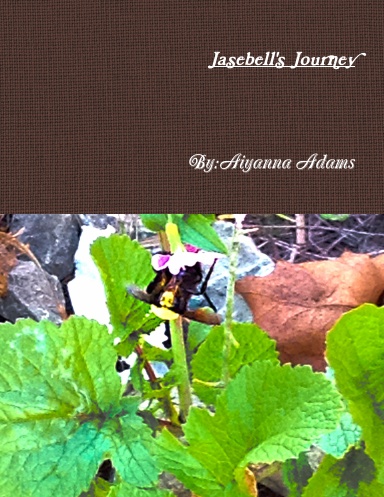 Jasebell's Journey