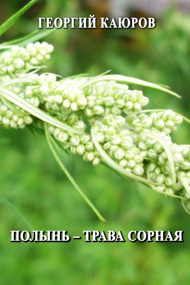Polyn' - trava sornaya