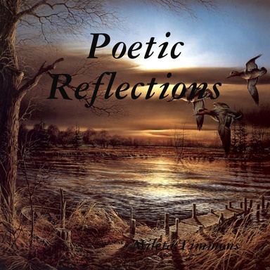 Poetic Reflections