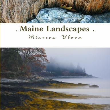 Maine Landscapes