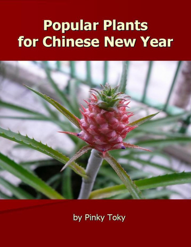 Popular Plants for Chinese New Year