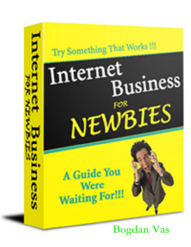Internet Business For Newbies