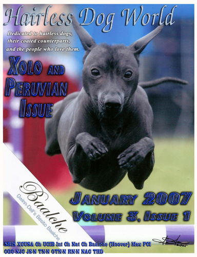 Hairless Dog World - Volume 3, Issue 1 - January 2007
