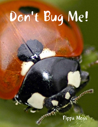 Don't Bug Me!