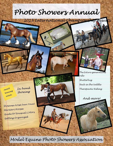 MEPSA Championship Book 2013