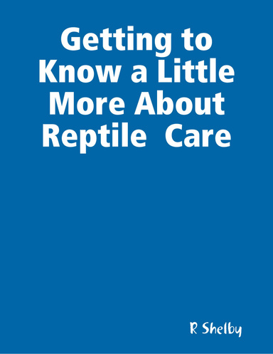 Getting to Know a Little More About Reptile  Care
