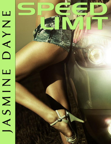Speed Limit (Hardcore Erotic Fiction)