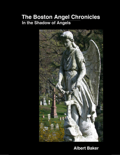 Boston Angel Chronicles ebook