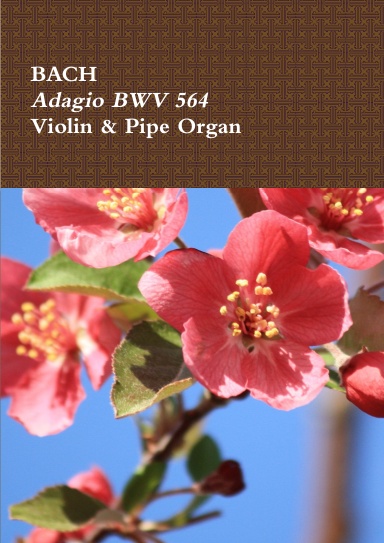 Adagio BWV 564 for Violin & Pipe Organ.Sheet Music.