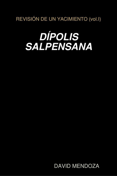 REVISION DE UN YACIMIENTO