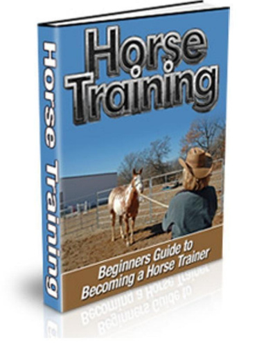 Beginner's Guide to Horse Training