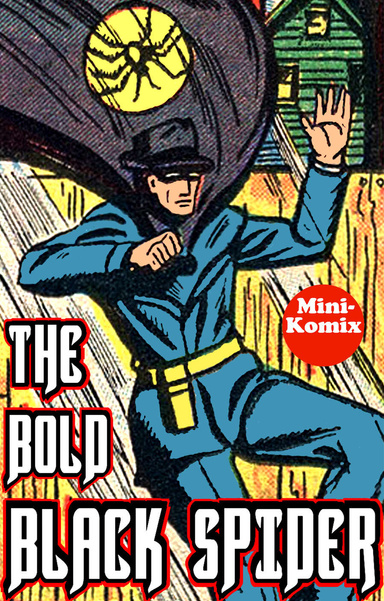 The Bold Black Spider