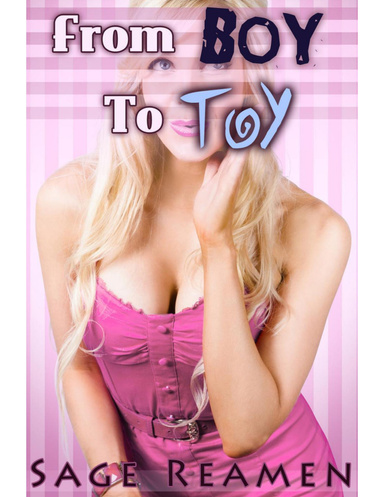 From Boy to Toy - Waking Up a Woman (Gender Swap Erotica)