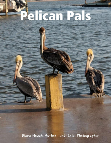 Pelican Pals