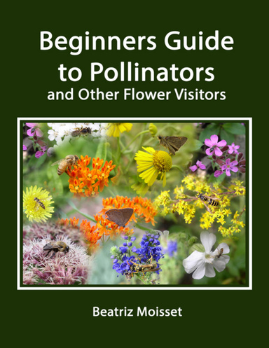 Beginners Guide to Pollinators and Other Flower Visitors