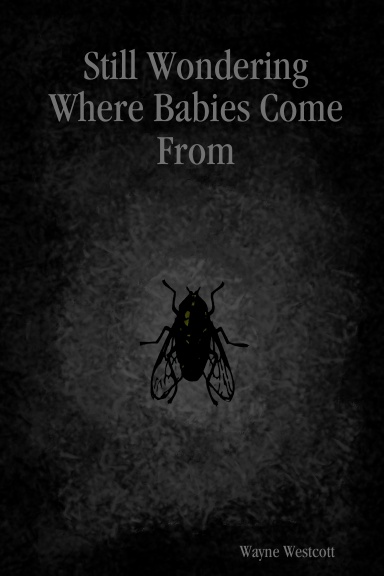 Still Wondering Where Babies Come From