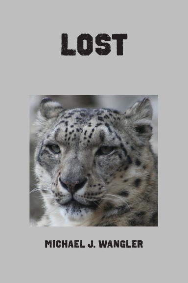 Lost