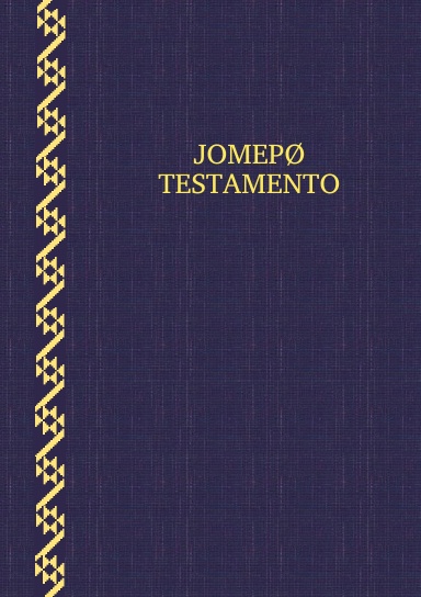 Zoque de Francisco Leon NT