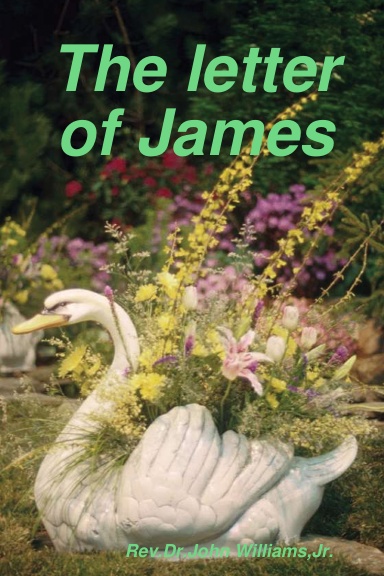 The letter of James