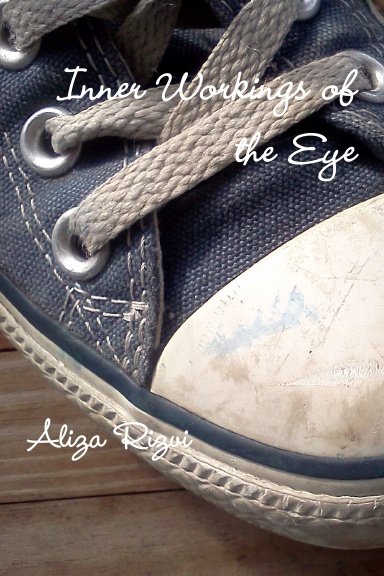 Inner Workings of the Eye