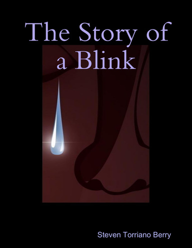 The Story of a Blink
