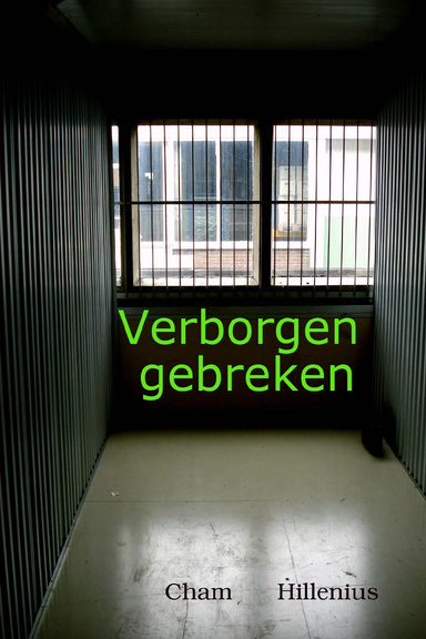 Verborgen gebreken
