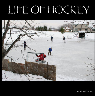 Life of Hockey