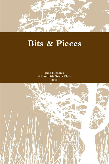 bits and pieces