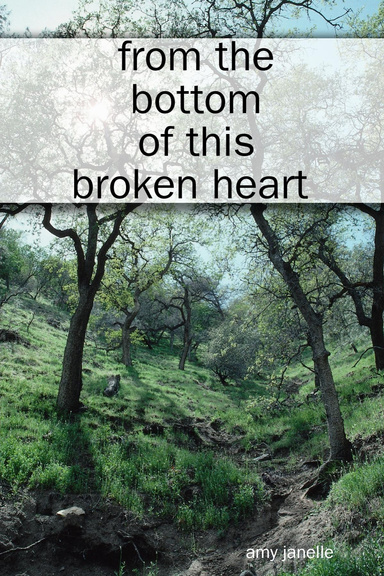from the bottom of this broken heart
