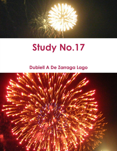 Study No.17