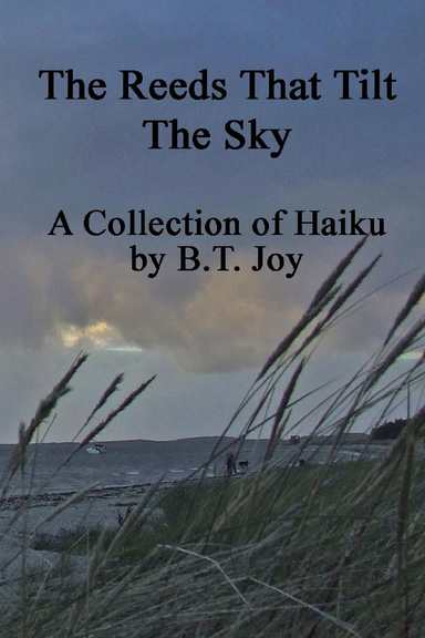The Reeds That Tilt The Sky