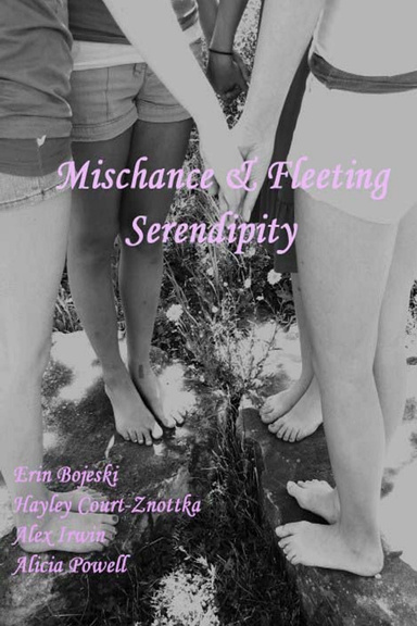 Mischance & Fleeting Serendipity