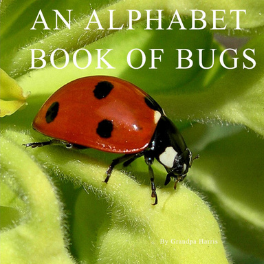 Alphabet Bug Book