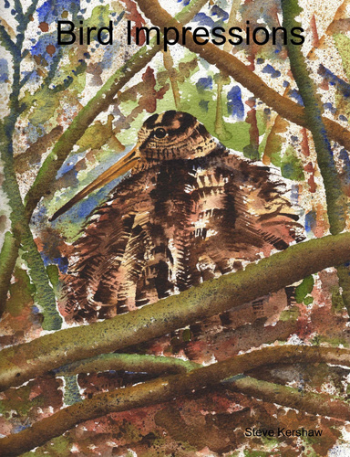 Bird Impressions