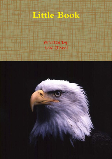 Little Book